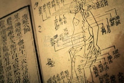 清朝,过时的,书,草药,易经,中医,针灸,以前的,中文,图腾柱