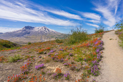 风景,火山,山谷,非凡的,小路,山脊,桨叉架船,天空,雪,夏天