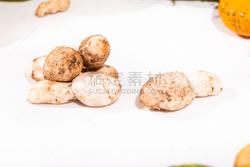 草菇,白蘑菇,白色背景,蔬菜,背景分离,食品,中国食品,成分,中国,植物