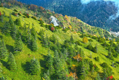 地形,秋天,滋贺县,山之内町,滑板坡道,山梨树,岩面,山口,里山,水平画幅