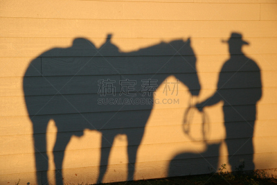 马,狗,牛仔,阴影,牧场新手,huaso,牧童,charro,牧马人,高卓牛仔
