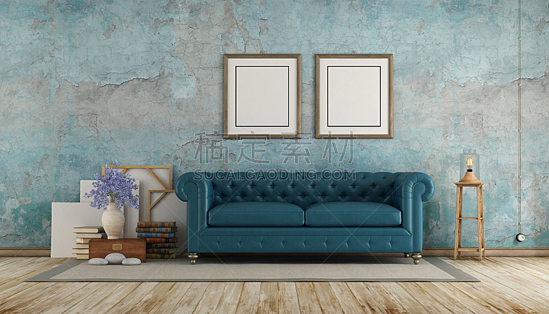 沙发,古典式,住宅房间,蓝色,简单,边框,地板,复古风格,装饰物,硬木