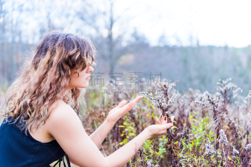 Young woman hand touching wild fluffy flower leaves dry bushes in autumn fall on hike in Dolly Sods, West Virginia