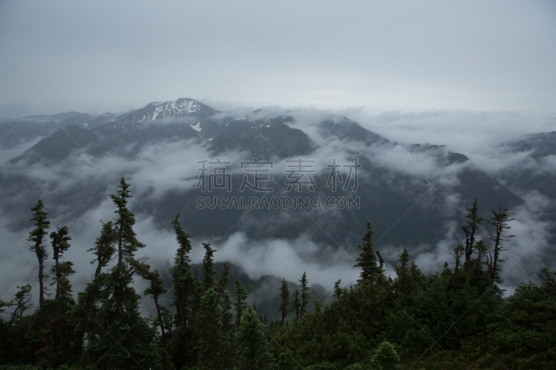 两只动物,白色,北喀斯开山脉,小路,山口,冰河峰荒野地,太平洋鸟冠小径,自然,水平画幅,地形