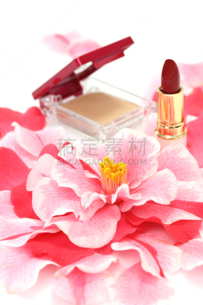 化妆用品,茶花,可爱的,传统,扑面粉,舞台妆,粉饼,两个物体,多样,新年前夕