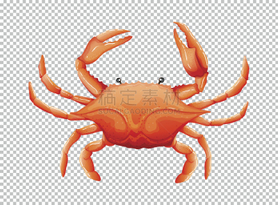 螃蟹,透明,背景,剪贴画,背景分离,食品,野生动物,哺乳纲,动物,小路