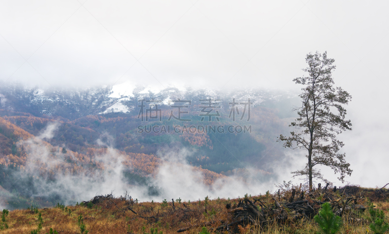 地形,山,雾,水平画幅,秋天,雪,无人,早晨,户外,十二月