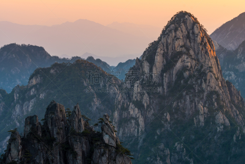 黄山山脉,安徽省,松树,中国,地形,桨叉架船,一只动物,中国东部,旅游