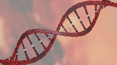 螺旋,脱氧核糖核酸,crispr,遗传研究,概念,端粒,基因突变,染色体,放大效果,生物科技