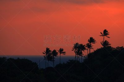 鸡尾酒,查温,苏梅岛,珊瑚色,天空,度假胜地,气候,水平画幅,无人,夏天