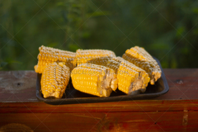 老玉米,黄金,炊具,轻的,格子烤肉,褐色,水平画幅,素食,无人,夏天