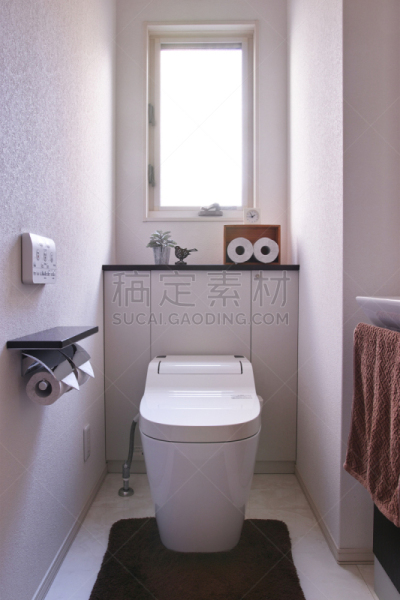 日本,卫生间,住宅内部,垂直画幅,住宅房间,浴室,冲洗水,无人,抽水马桶