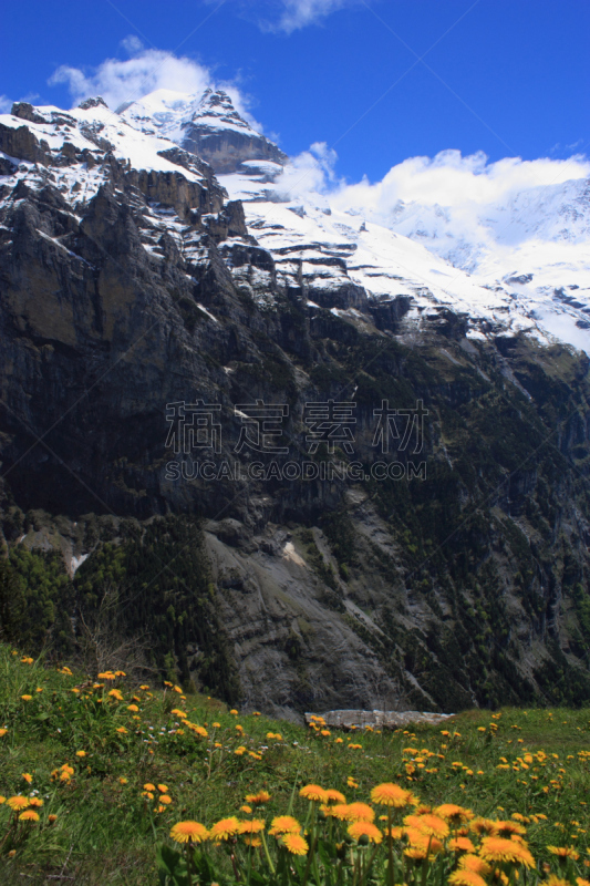 瑞士阿尔卑斯山,施雷克峰,米伦莫伦,威特洪山,艾格峰,因特拉肯,少女峰,垂直画幅,山,雪