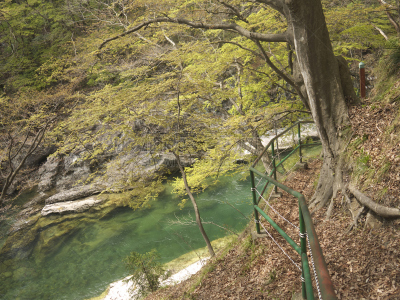 沟壑,水上町,徒步旅行,水,水平画幅,无人,户外,草,谷川山脉,山