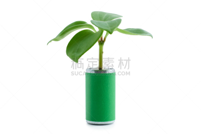 电池,植物,秧苗,碱,循环利用,概念,白色背景,替代能源,生物学,可再生能源