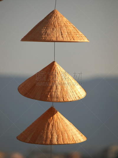 帽子,岘港,越南,垂直画幅,纪念碑,水,美,兰花,车轮,灯笼