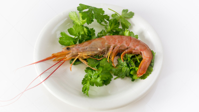 黑色虎虾,餐具,水平画幅,无人,开胃品,拉维纪草植物,膳食,海产,明虾,背景分离