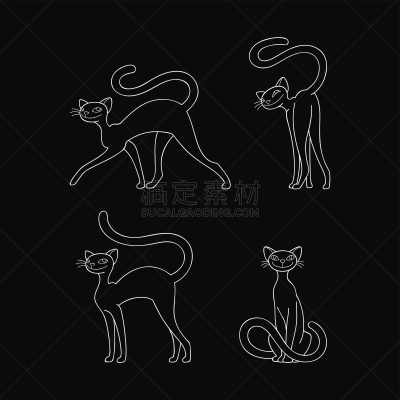 野生猫科动物,飞絮柳,美洲狮,猫食,喵喵,尾巴,动物医院,猫,优美,绘画插图