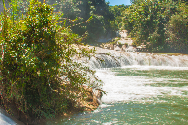 agua azul cascades,恰帕斯州,自然,野生动物,水平画幅,瀑布,无人,夏天,户外,湖