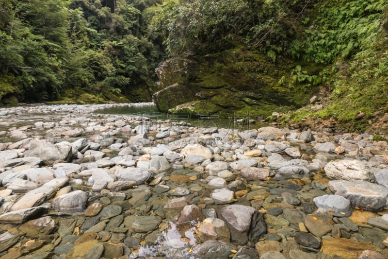 巨石,新西兰,河流,河床,水,水平画幅,无人,原野,户外,雨林