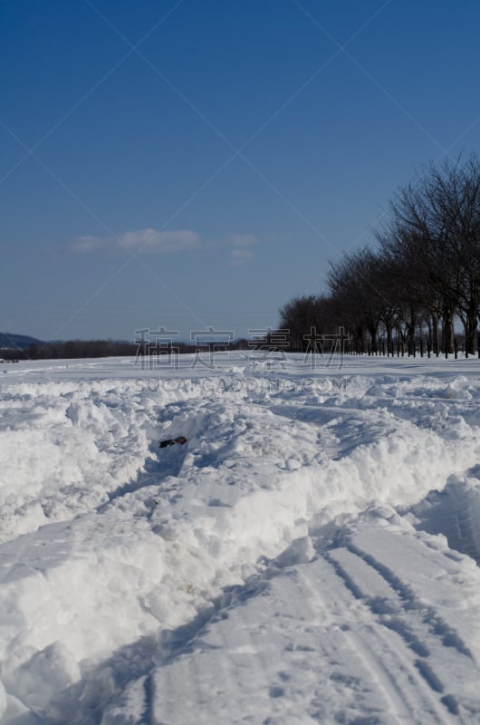 冬天,地形,垂直画幅,寒冷,雪,无人,轮胎印,日本,户外,北海道