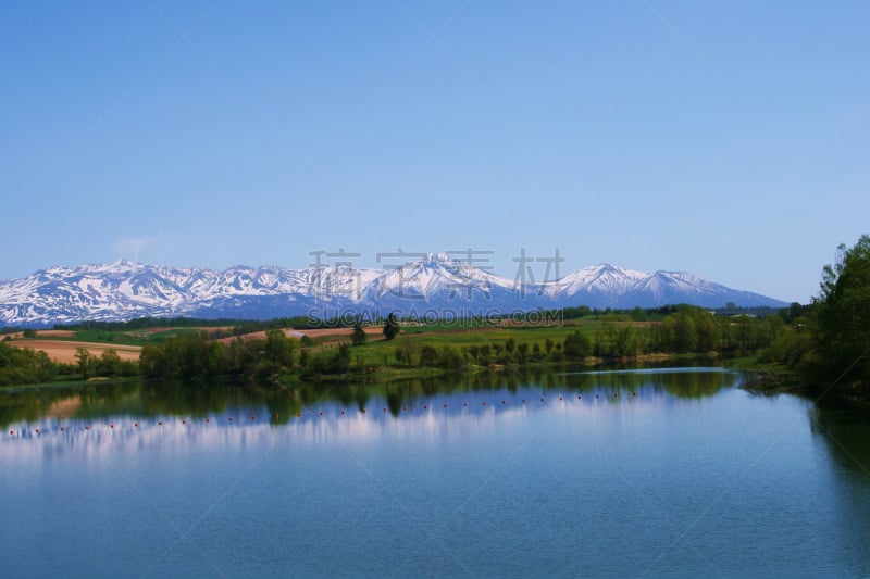 北海道,美瑛町,雪,加冕式,连续性,天空,水平画幅,富良野盆地,银泉市,日本