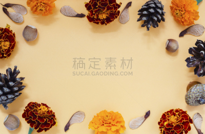 黑刺莓,松果,栗子,种子,橙色背景,枫树,榛子,平衡折角灯,九月,十月