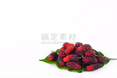 健康食物,桑叶,桑椹,食品,分离着色,白色背景,水果,果汁,水平画幅,无人