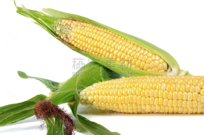 玉米,熟的,甜食,水平画幅,素食,无人,生食,夏天,农作物,白色