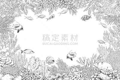 珊瑚,水下,鱼类,背景,海底,大堡礁,藻类,海草,彩色书,热带鱼
