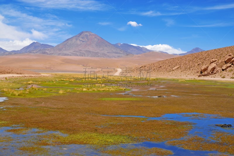 火山地形,偏远的,智利,阿塔卡马沙漠,贫瘠的,南美,天空,秃鹰,水平画幅,高视角