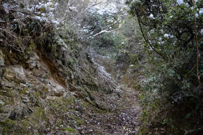 自然,山,森林,马其顿地区,斯特鲁米察,水平画幅,无人,户外,巴尔干,植物