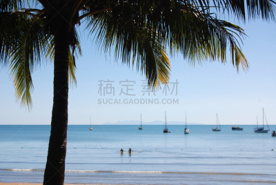 磁岛,水,马蹄铁,休闲活动,水平画幅,夏天,户外,棕榈树,海滩,彩色图片