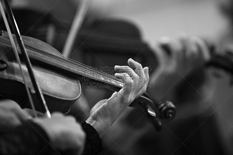 小提琴手,管弦乐队,手,四重奏,小提琴,古典管弦乐,线绳,黑白图片,音乐人,古典音乐会