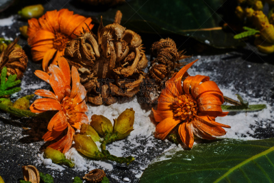 干的,特写,叶子,corn marigold,烟,夏天,植物学,芳香疗法,清新