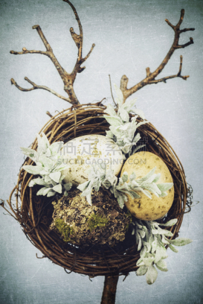 复活节,鸟巢,卵,垂直画幅,纹理效果,风化的,无人,苔藓,古典式,乡村风格