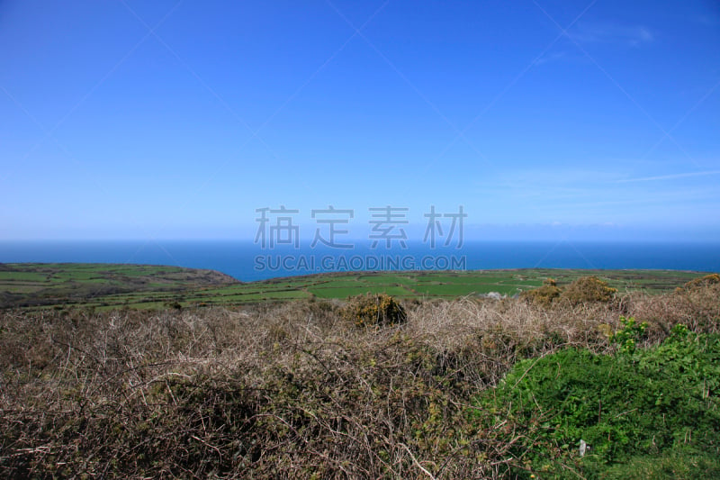 康沃尔,海岸线,北,英格兰,欧洲蕨,水,草地,水平画幅,地形,无人