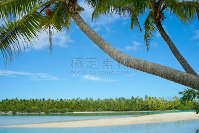 斜靠,在上面,水边,椰子树,天空,留白,水平画幅,沙子,无人,生长