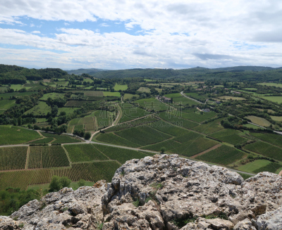 Mâcon wine-growing region