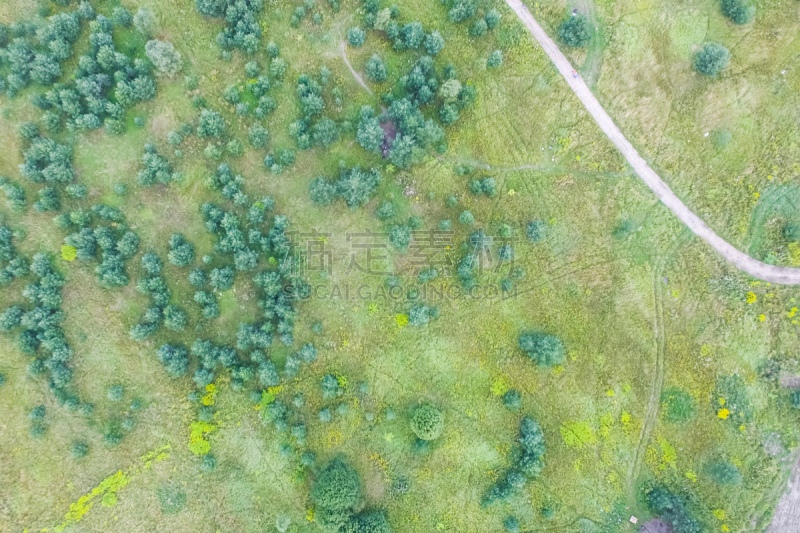 都市风景,田地,森林,格林威治村,农业,传统,莫斯科,环境保护,公路,桨