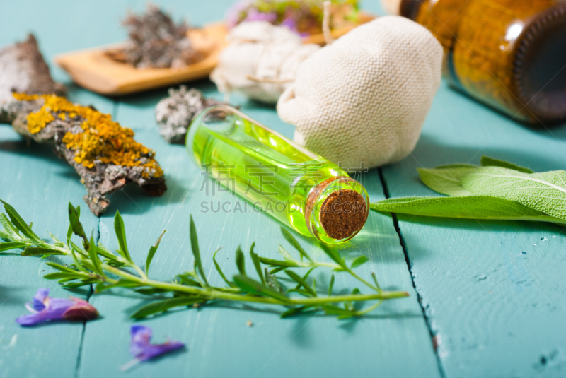 草本,蓝色,替代医药,植物群,顺势医学,健康保健,香旱芹菜,地衣,药,滴瓶