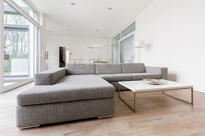 明亮,起居室,极简构图,水平画幅,家具,现代,沙发,白色,设计师,地板