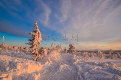拉普兰,萨利色尔卡,冻原,两极气候,天空,美,水平画幅,林区,雪,无人