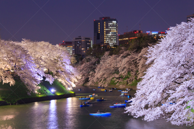 东京,日本,樱桃树,千鸟渊,千代田区,护城河,花见节,天空,里山,水平画幅