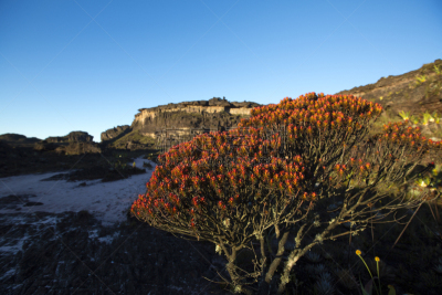 罗赖马山,黑色,陆地,火山,平顶山,canaima,行星月亮,委内瑞拉,南美,天空