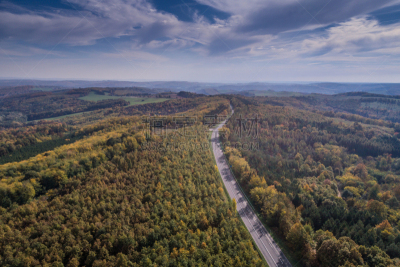 road through the autumn forest