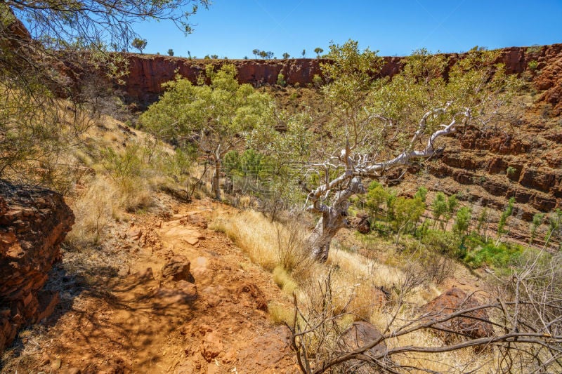 西澳大利亚,dales gorge,徒步旅行,四只动物,橙色,壁纸,草,巨石,小路,红岩石