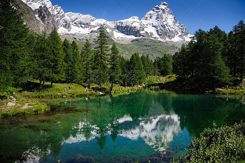 阿尔卑斯山脉,松树,水平画幅,雪,冰河,无人,蓝色,夏天,户外,冰