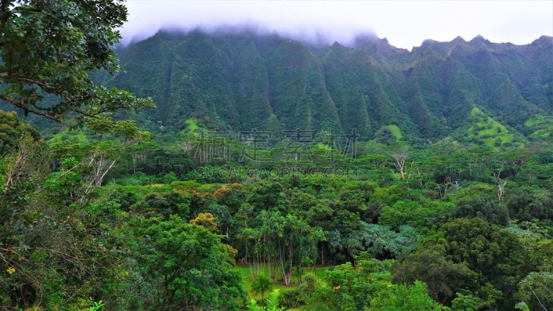 View of the entrance and Ko'olau Mountains as one drives through the Ho'omaluhia Botanical Park. Strolling or driving through these lush 400 acres in windward Oʻahu, you will truly agree that Hoʻomaluhia is rightfully named 'a peaceful refuge.'  Opened in