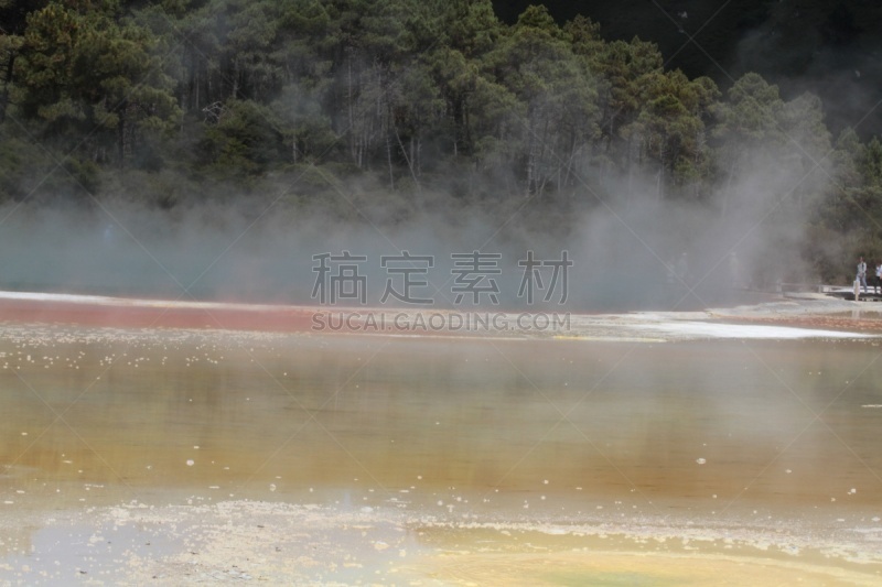 罗托鲁阿,新西兰,一只动物,部分,水,水平画幅,lake tarawera,无人,火山地形,户外